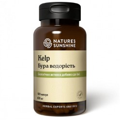 Келп (Бурая водоросль)  | Kelp