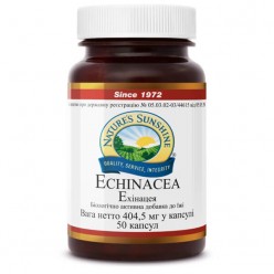 Эхинацея НСП |  Echinacea NSP