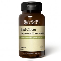 Красный Клевер | Red Clover